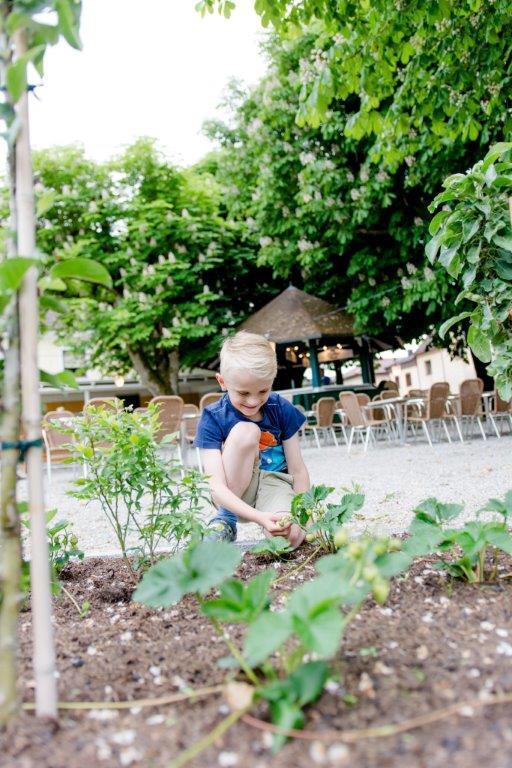 Fruhstuckspension Scharinger Hof Gilgenberg am Weilhart Exteriör bild